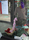 Vitrine de promotion pour les cours, Centre commercial Nyon